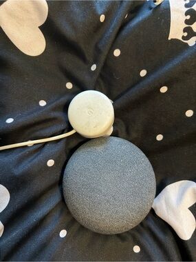 Google Nest Mini